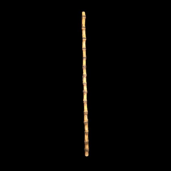 Malacca Cane